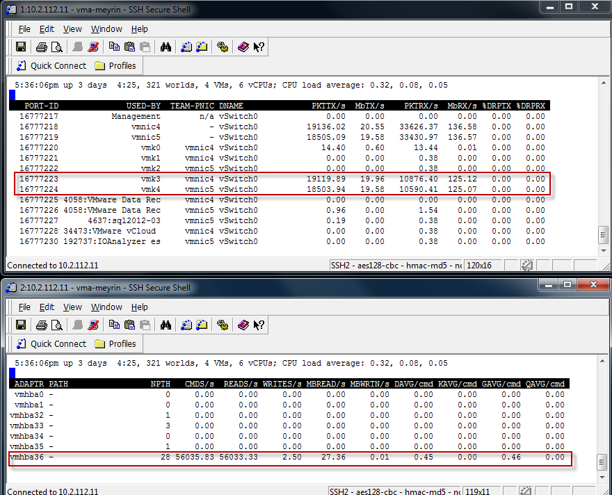 IO Analyzer Max_IOPS Test from the vMA